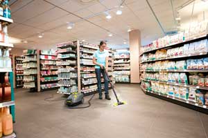 karcher sg 4 4